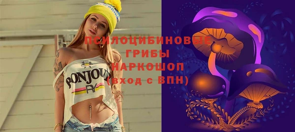 a pvp Белокуриха