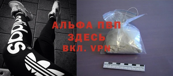 a pvp Белокуриха