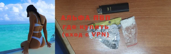 a pvp Белокуриха