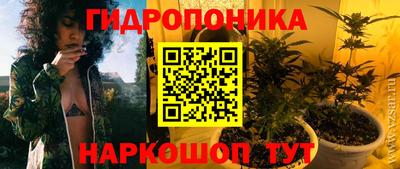 дживик Жуковский