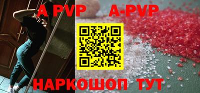 шишки Изобильный
