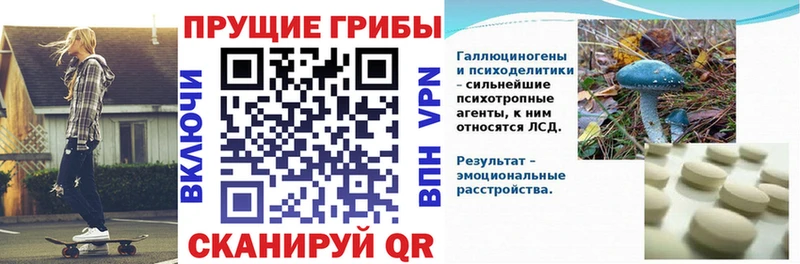 купить наркотики цена  Кушва  Галлюциногенные грибы Cubensis 