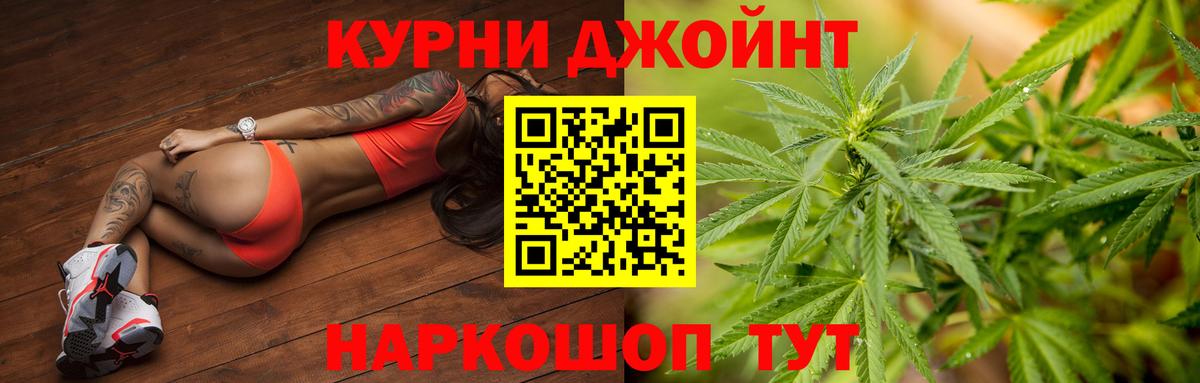 Марихуана гибрид Кушва